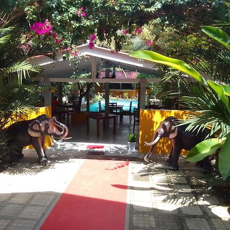 Hotel La Perla Bentota Exterior foto
