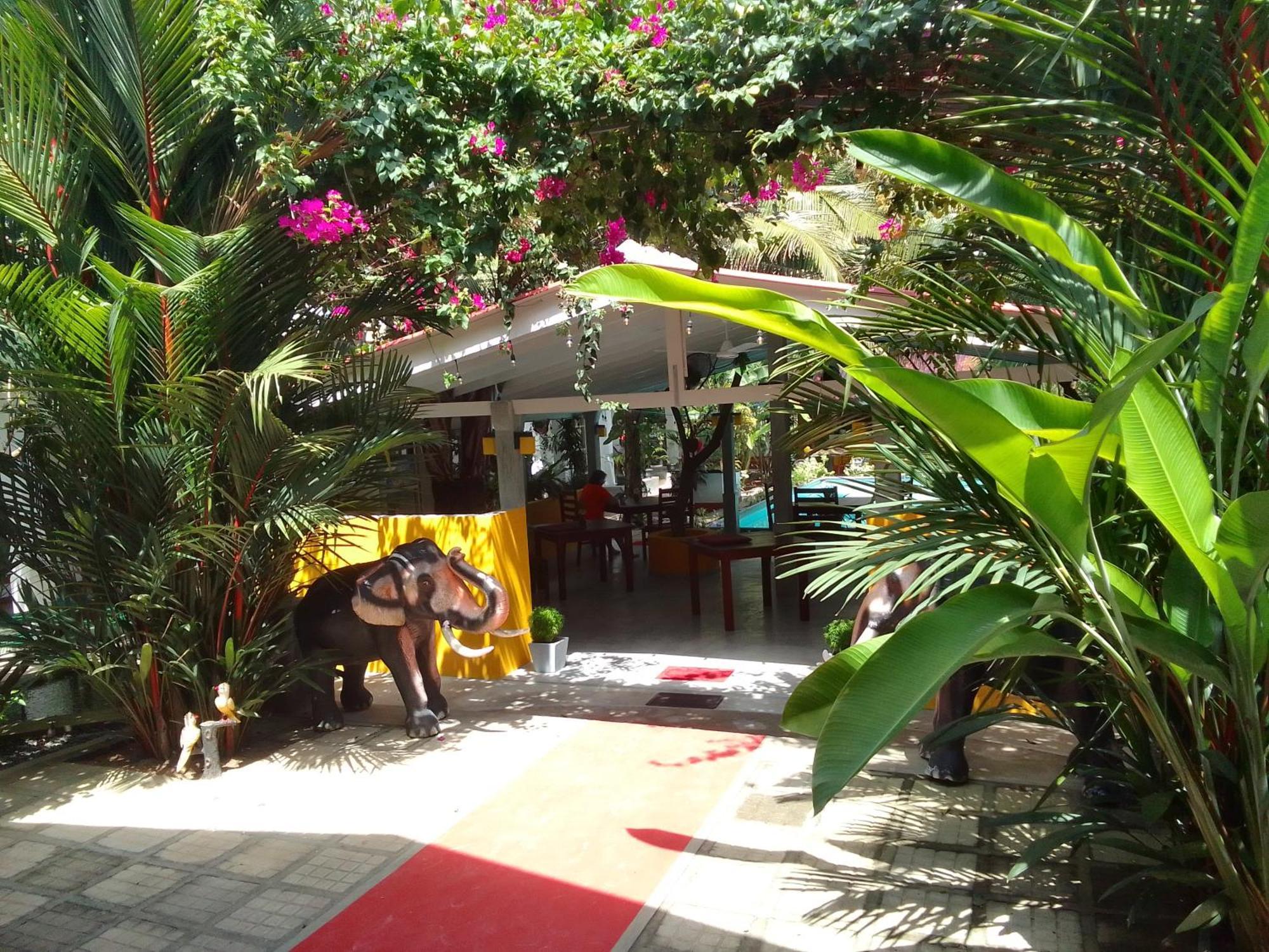Hotel La Perla Bentota Exterior foto